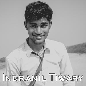 Indranil Tiwary