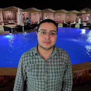MoatazBellah Ghobashy