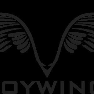 Team Voywing